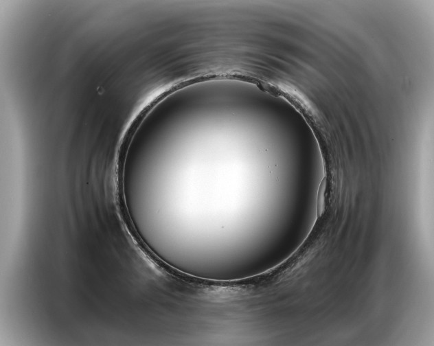 X0000087360894200704271435
