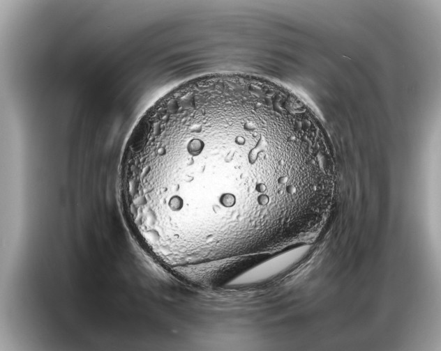 X0000087360895200704271435