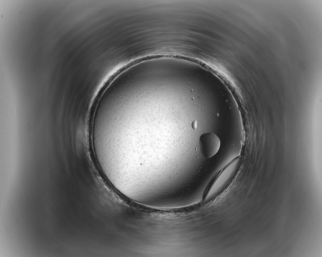 X0000087360896200704271435