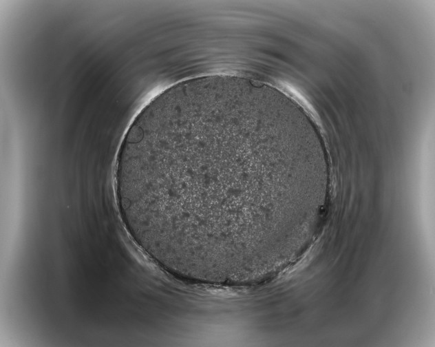 X0000087360899200704271435