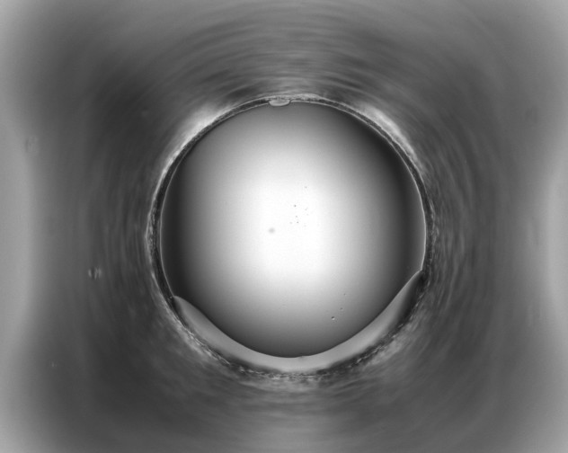 X0000087360901200704271435