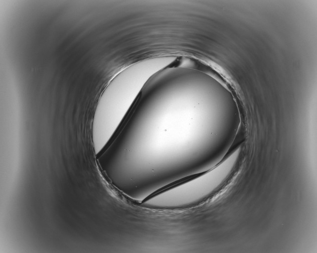 X0000087360905200704271435