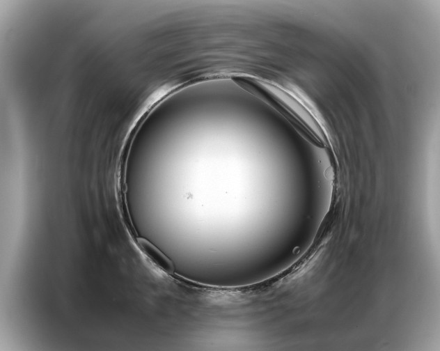 X0000087360909200704271435