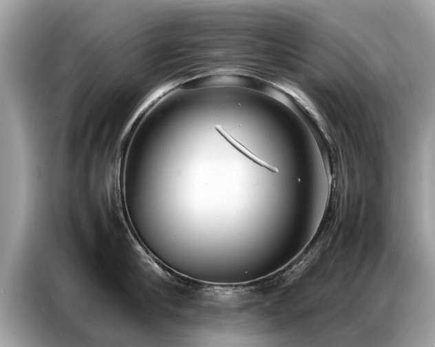 X0000087360910200704271435