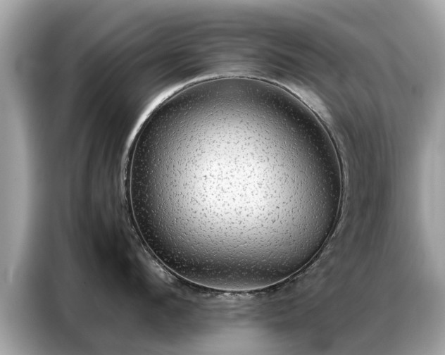 X0000087360912200704271435