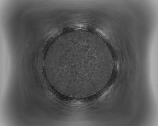 X0000087360913200704271434