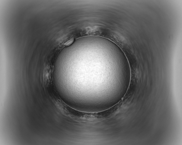 X0000087360914200704271434