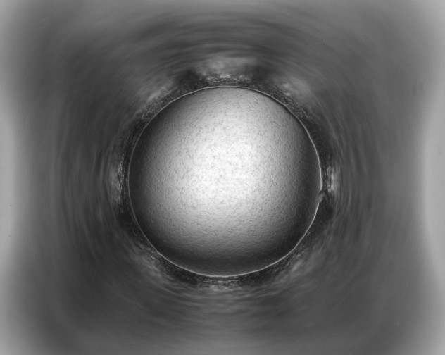 X0000087360915200704271434