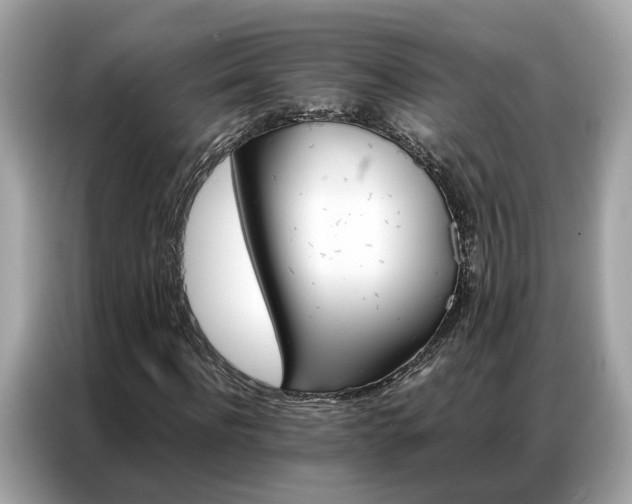X0000087360916200704271434