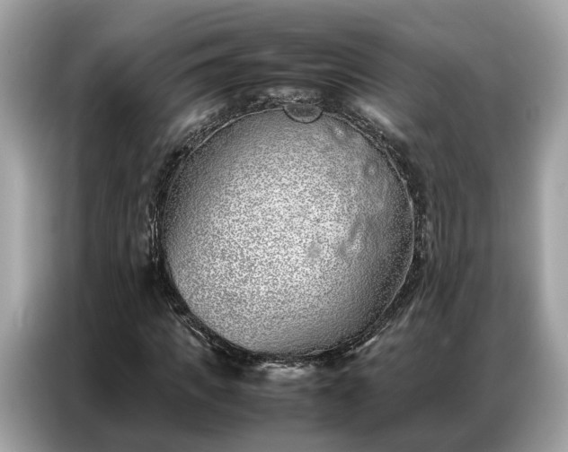 X0000087360917200704271434