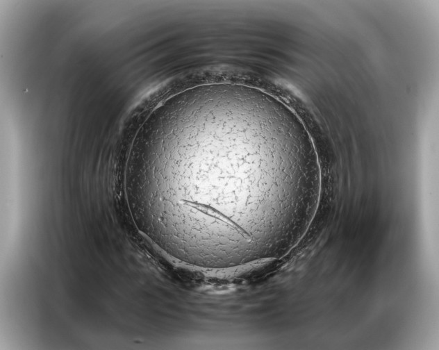 X0000087360919200704271434