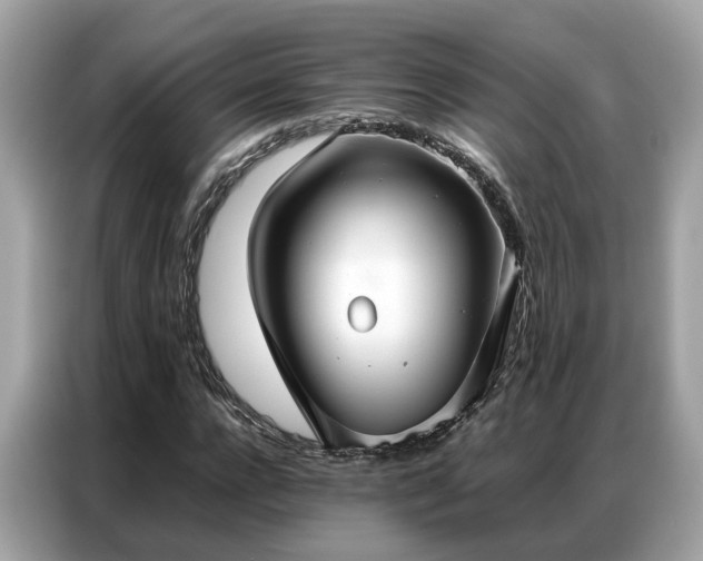 X0000087360920200704271434