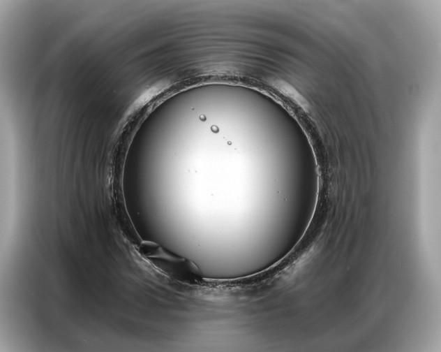 X0000087360922200704271434