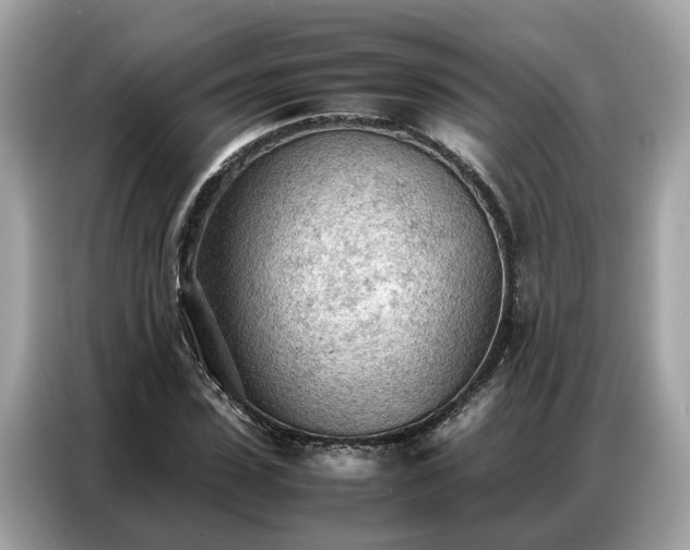 X0000087360923200704271434