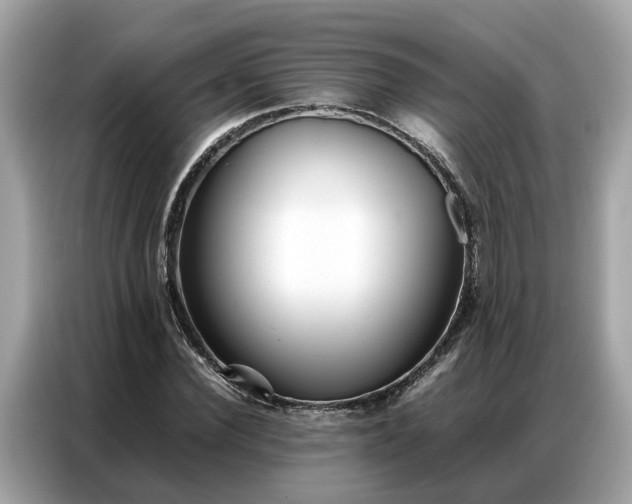X0000087360924200704271434