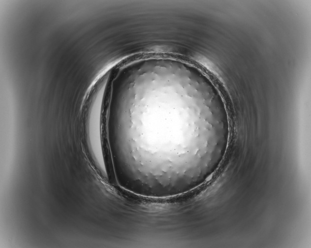 X0000087360925200704271434