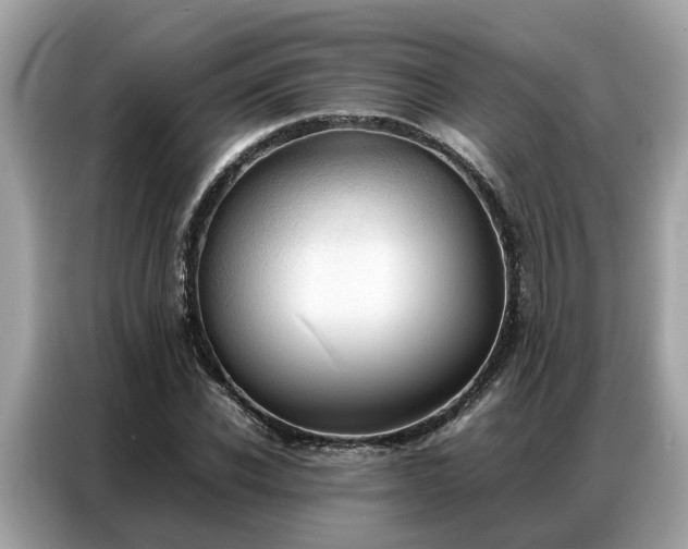 X0000087360926200704271434