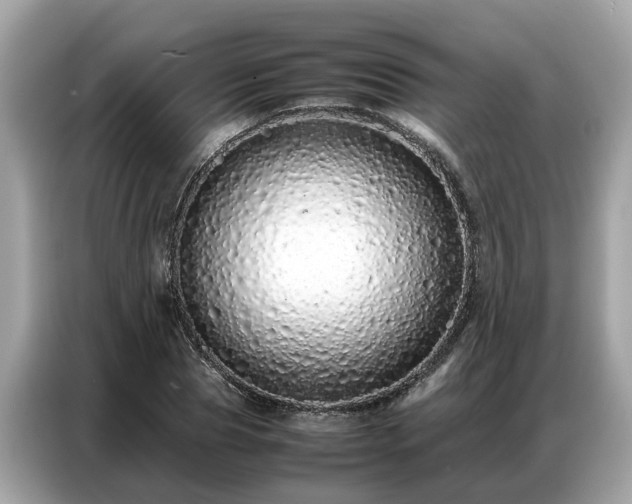 X0000087360929200704271434