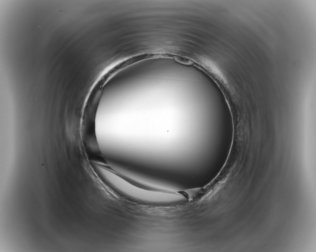 X0000087360932200704271434