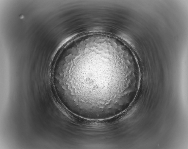 X0000087360933200704271434