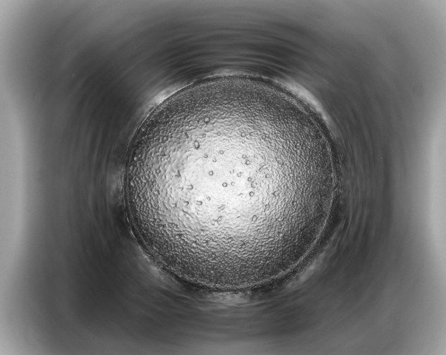 X0000087360937200704271434