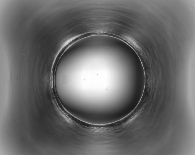 X0000087360940200704271435