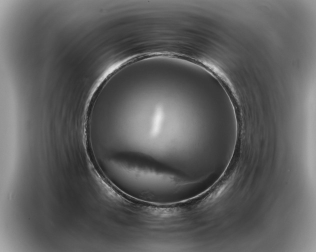 X0000087360941200704271435