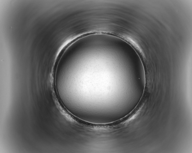 X0000087360944200704271435