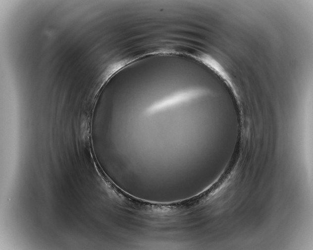 X0000087360945200704271435