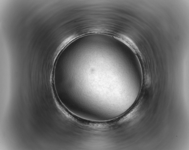 X0000087360946200704271435