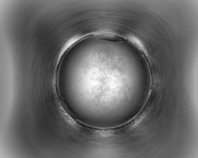 X0000087360952200704271435