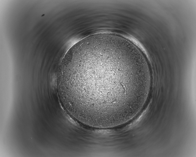X0000087360953200704271435