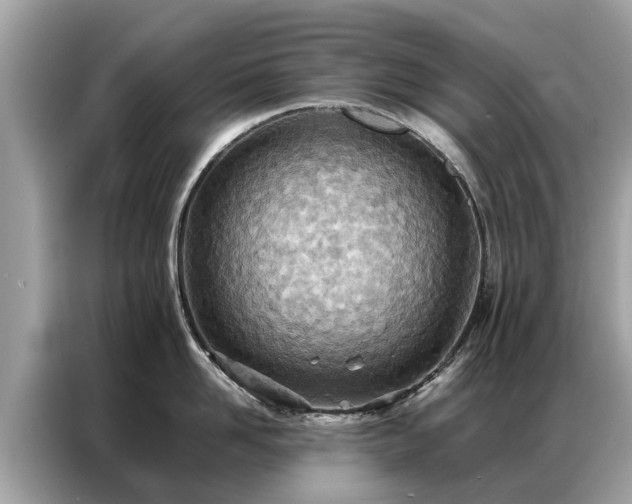 X0000087360958200704271435