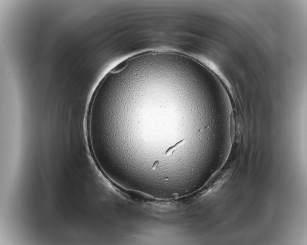 X0000087360959200704271435