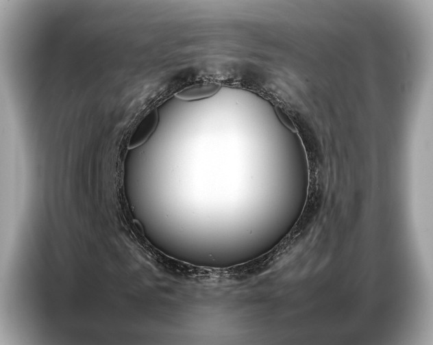 X0000087360961200704271434