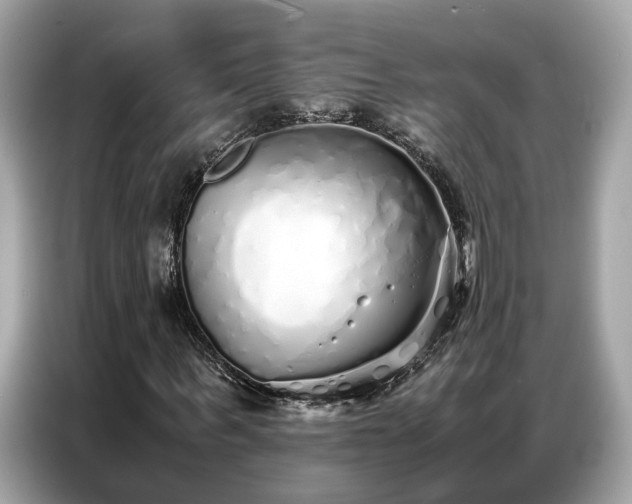 X0000087360963200704271434