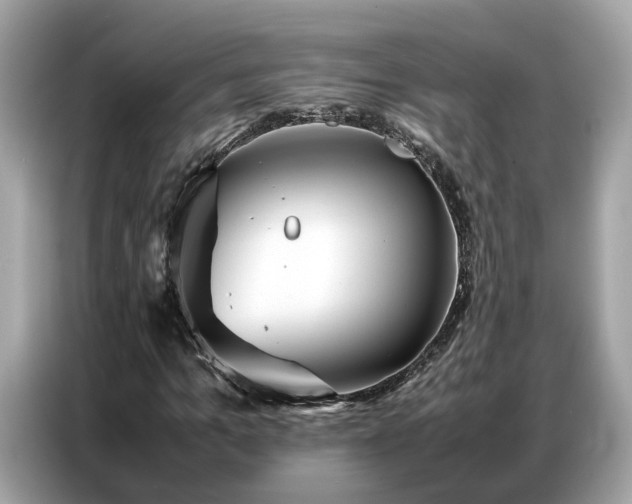 X0000087360965200704271434