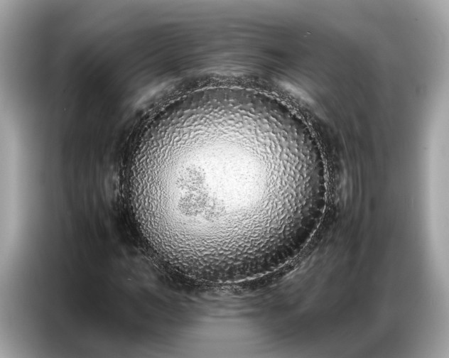 X0000087360966200704271434