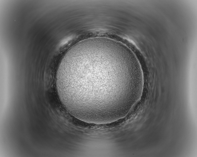 X0000087360967200704271434
