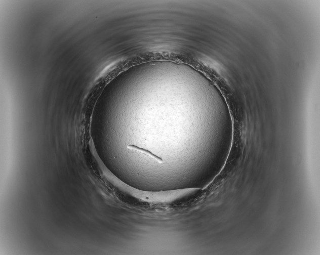 X0000087360968200704271434