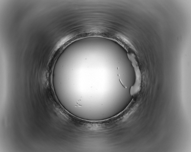 X0000087360970200704271434