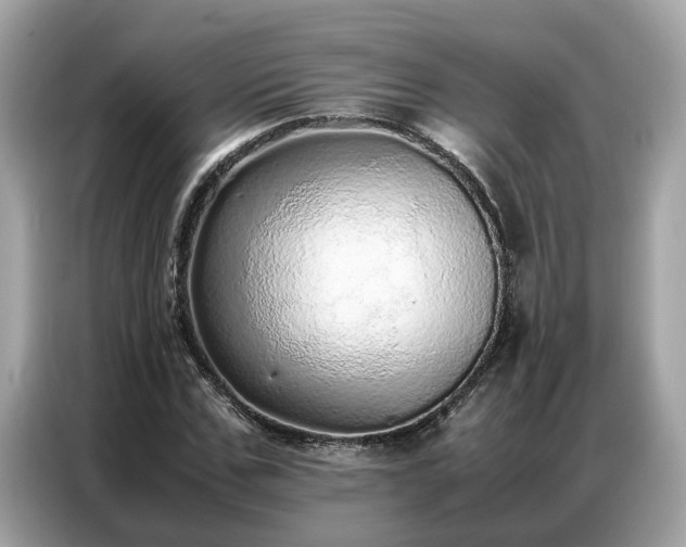 X0000087360971200704271434