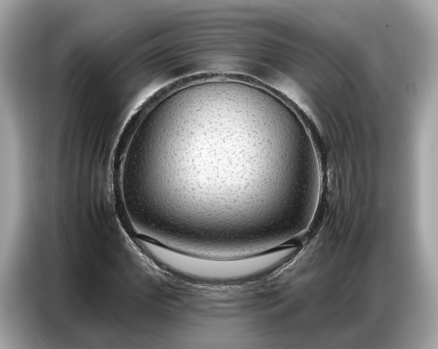 X0000087360972200704271434