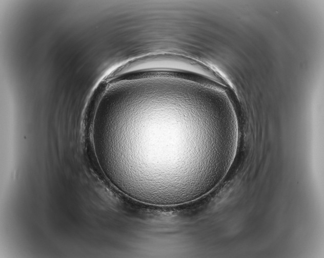 X0000087360975200704271434