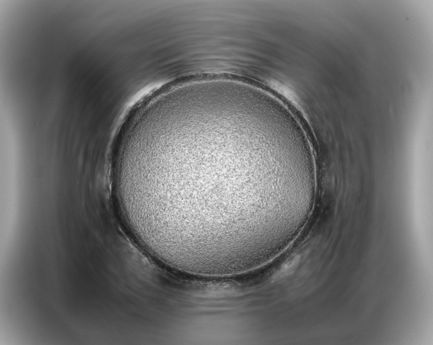 X0000087360979200704271434