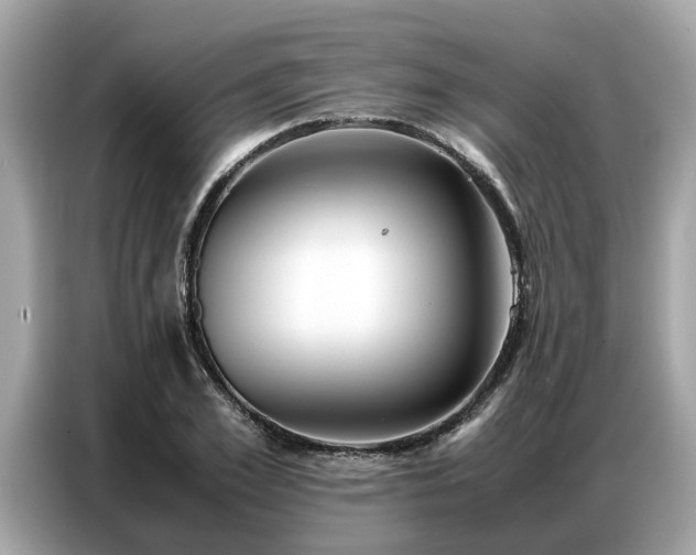 X0000087360981200704271434