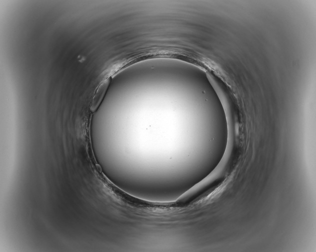 X0000087360985200704271434