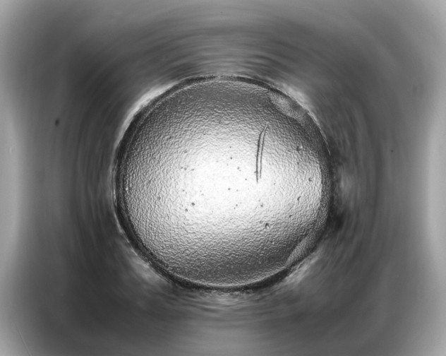 X0000087360987200704271434