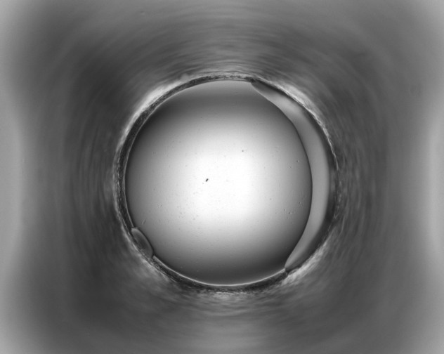 X0000087360989200704271434