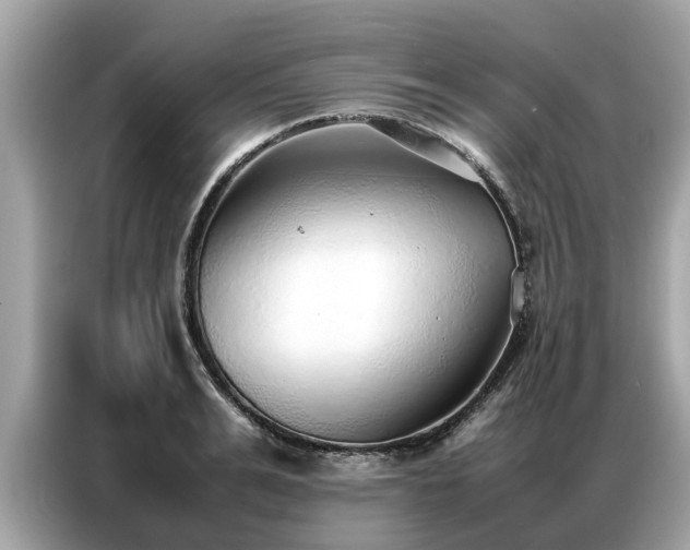 X0000087360991200704271434